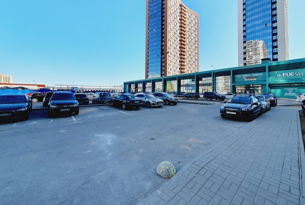 квартира г Санкт-Петербург п Парголово ул Заречная 11к/6 метро Парнас фото 15