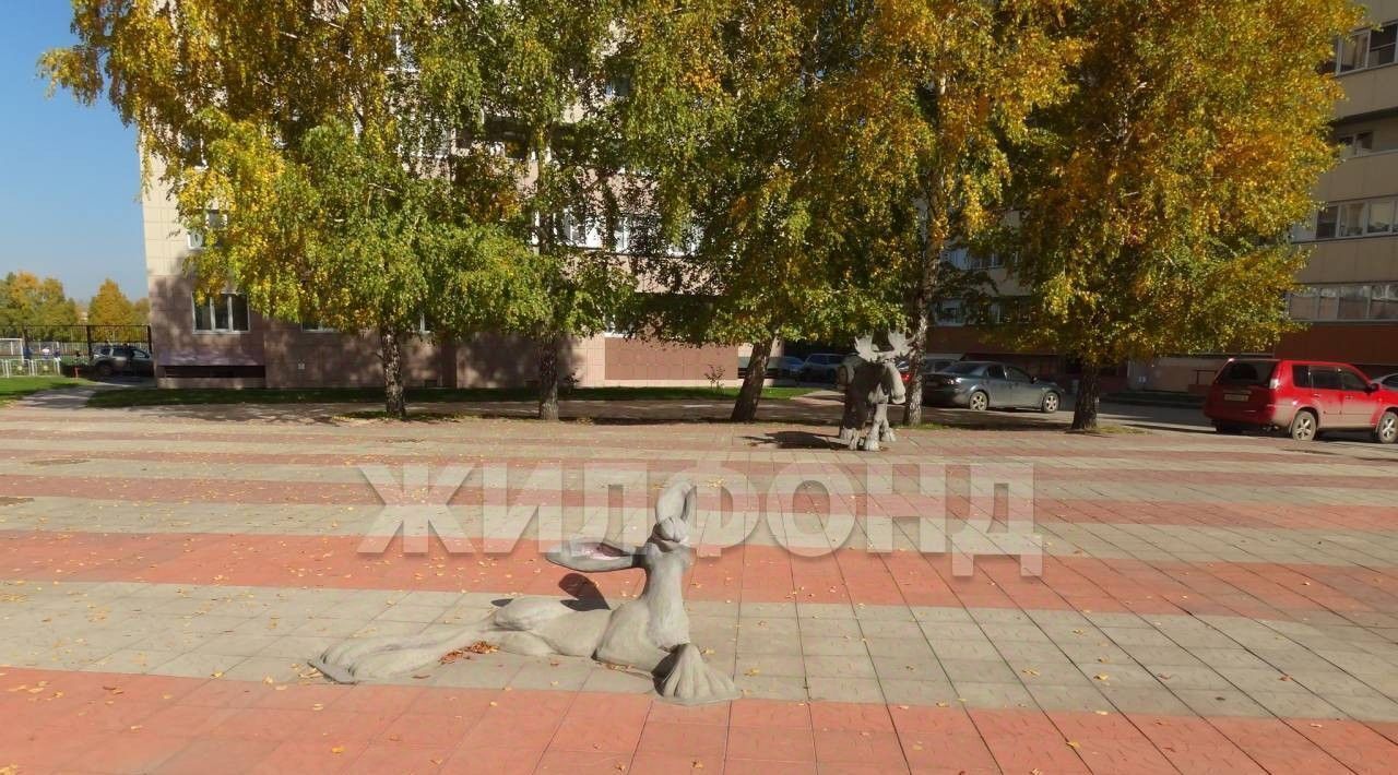 квартира г Новосибирск Затулинский ул Зорге 98 Площадь Маркса, жилмассив фото 17