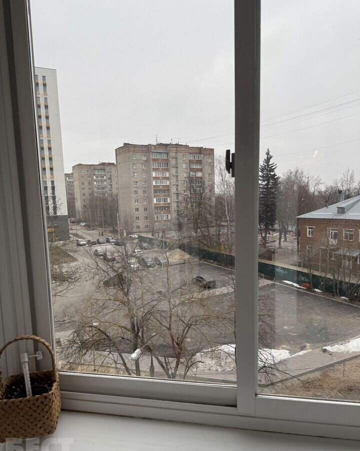 квартира городской округ Пушкинский г Красноармейск ул Краснофлотская 7 фото 1