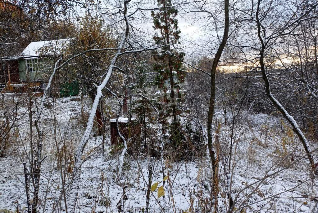 земля г Дзержинск снт Маяк городской округ Семёновский фото 3