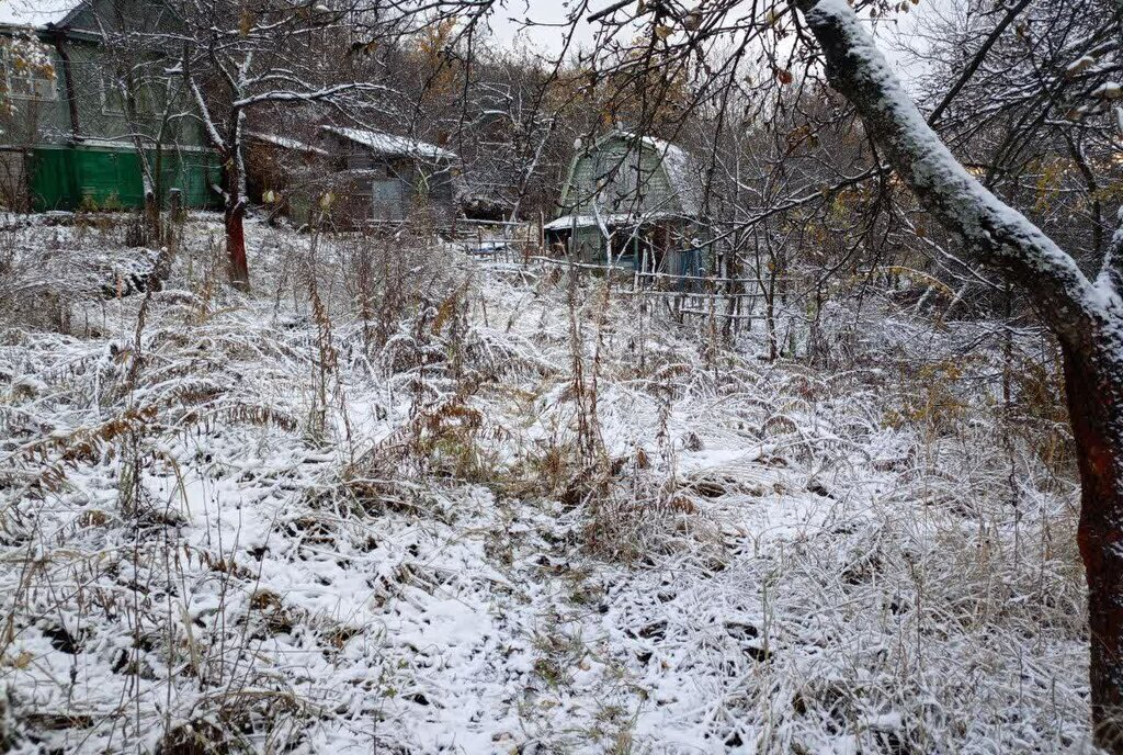 земля г Дзержинск снт Маяк городской округ Семёновский фото 4