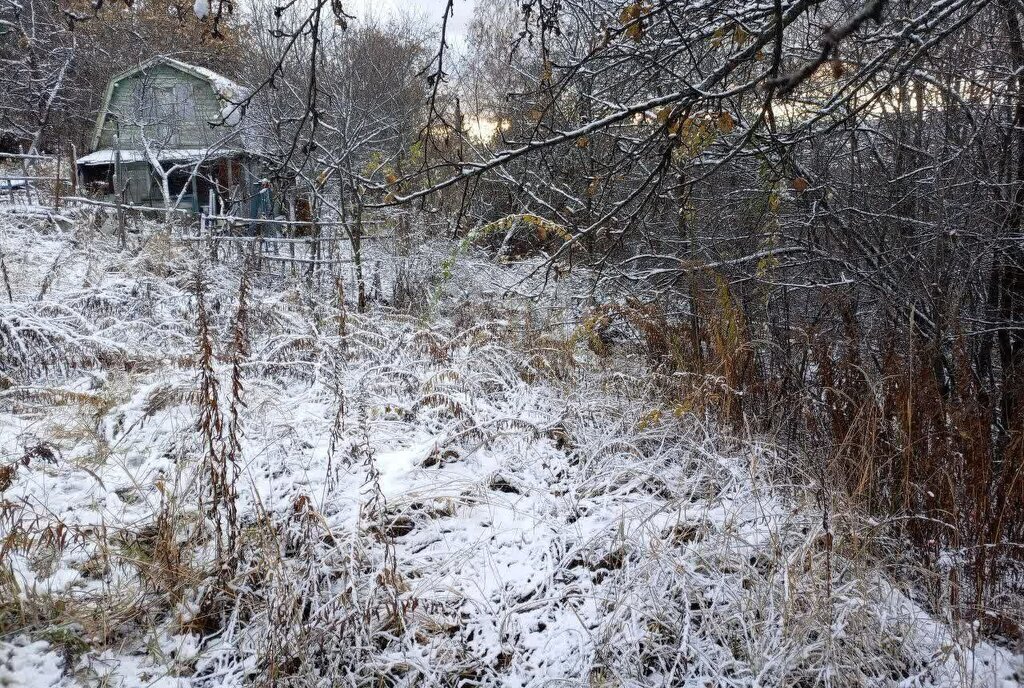земля г Дзержинск снт Маяк городской округ Семёновский фото 2