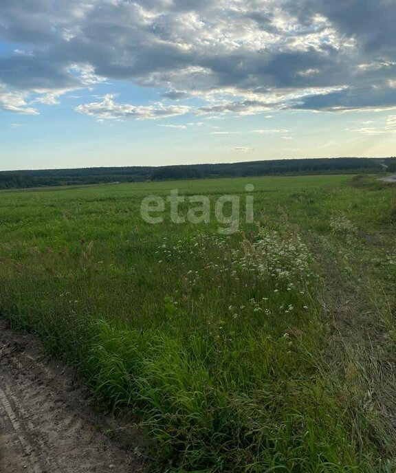 земля г Бор ул Белинского Московская фото 4