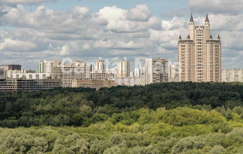 квартира г Москва метро Минская пр-кт Генерала Дорохова 39к/1б муниципальный округ Раменки фото 5