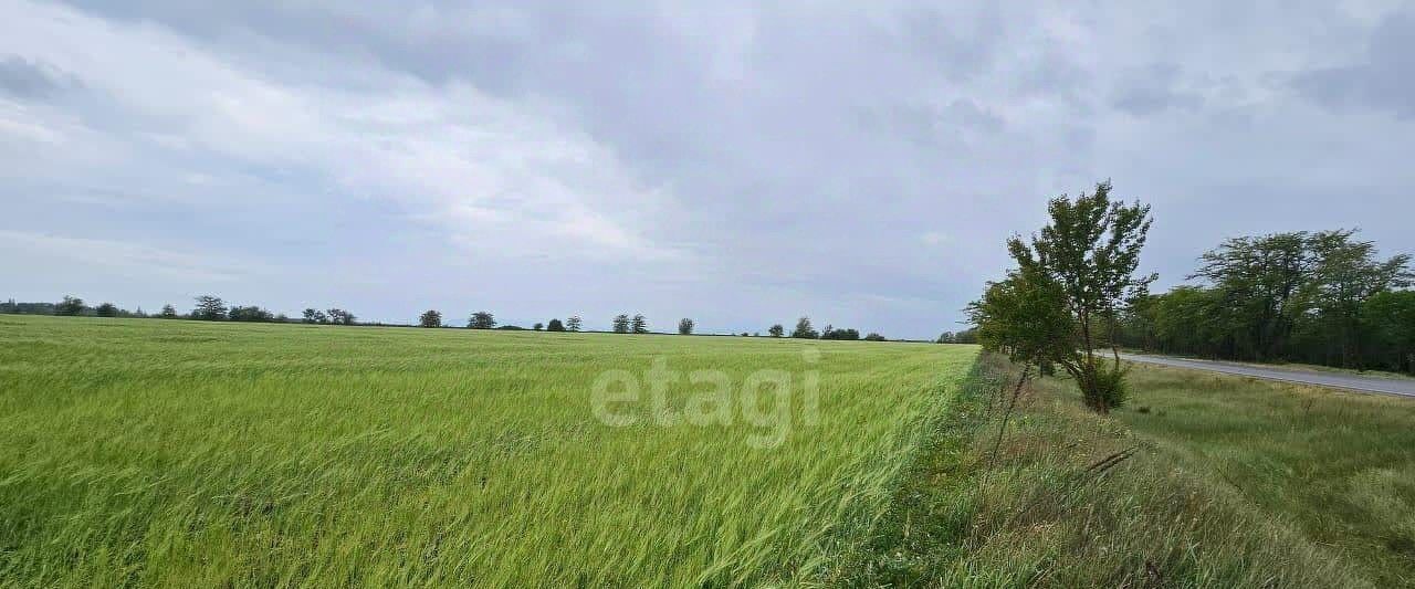 земля р-н Советский с Чапаевка ул Мира фото 6