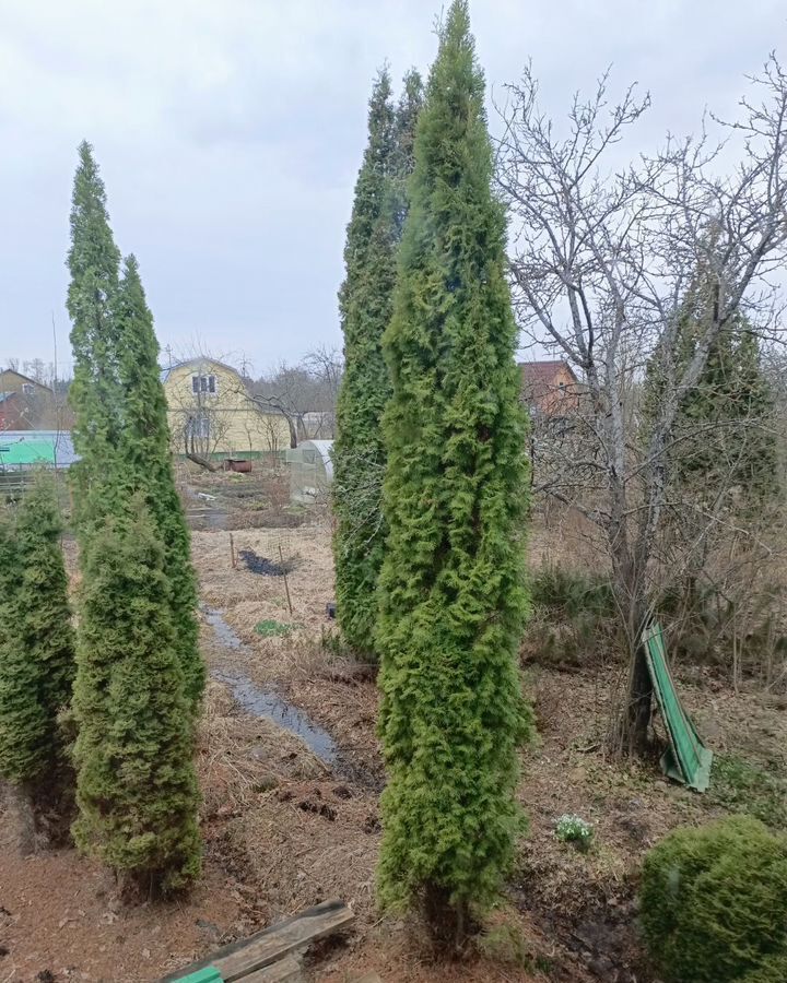 дом р-н Рыбинский г Рыбинск Шекснинский массив-1, СНТ Волга фото 15