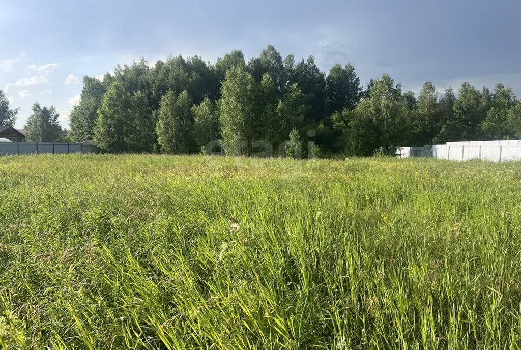 земля г Тюмень снт Березка-3 фото 2