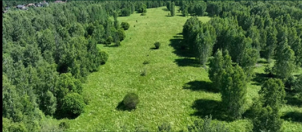 земля Минино д. фото 1