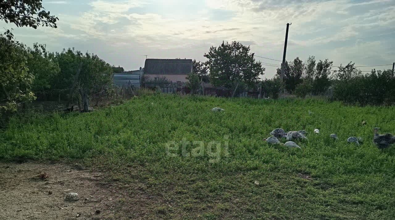 земля г Феодосия с Насыпное ул Речная фото 12