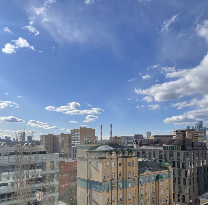квартира г Москва метро Парк культуры ул Тимура Фрунзе 30 фото 15