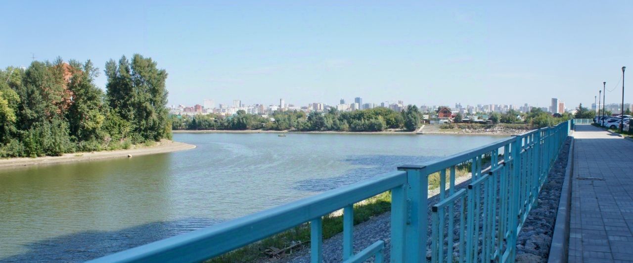 квартира г Новосибирск метро Площадь Гарина-Михайловского ул Междуреченская 5/2 фото 29