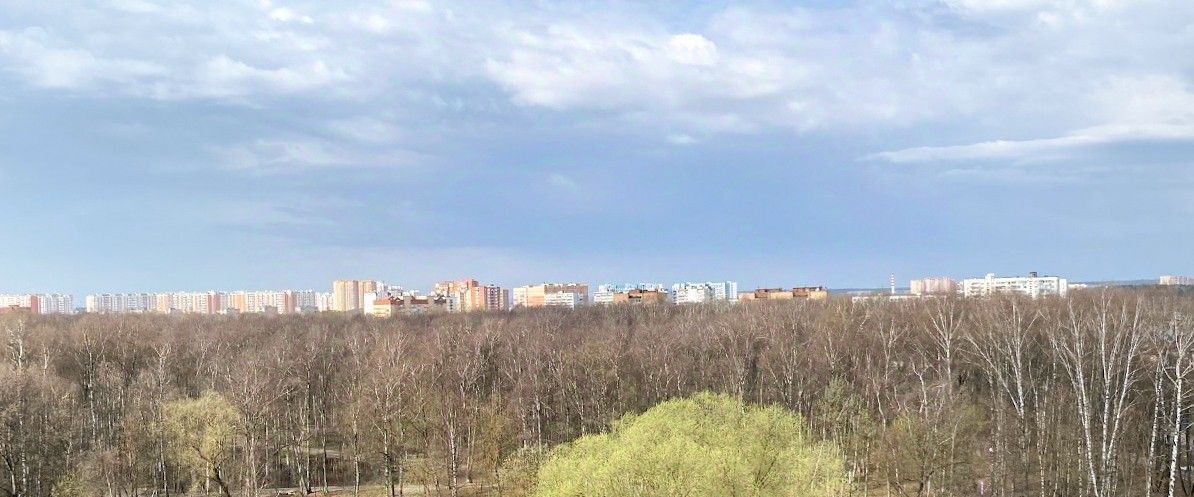 квартира г Лобня ул Некрасова 11 Лобня фото 16