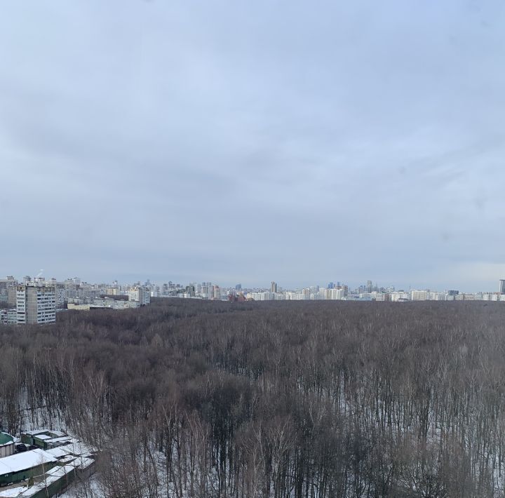 квартира г Москва ул Тёплый Стан 13к/1 Генерала Тюленева фото 16