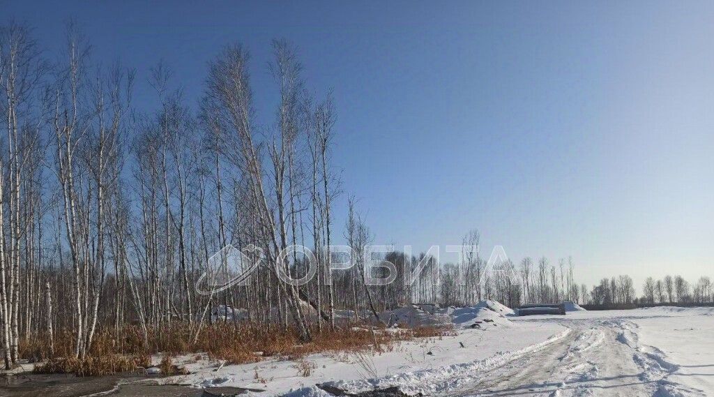 земля г Тюмень р-н Центральный пл Центральная фото 8