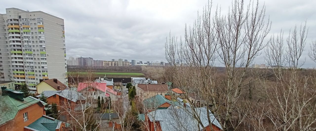 квартира г Воронеж р-н Центральный ул Морозова 31 фото 2