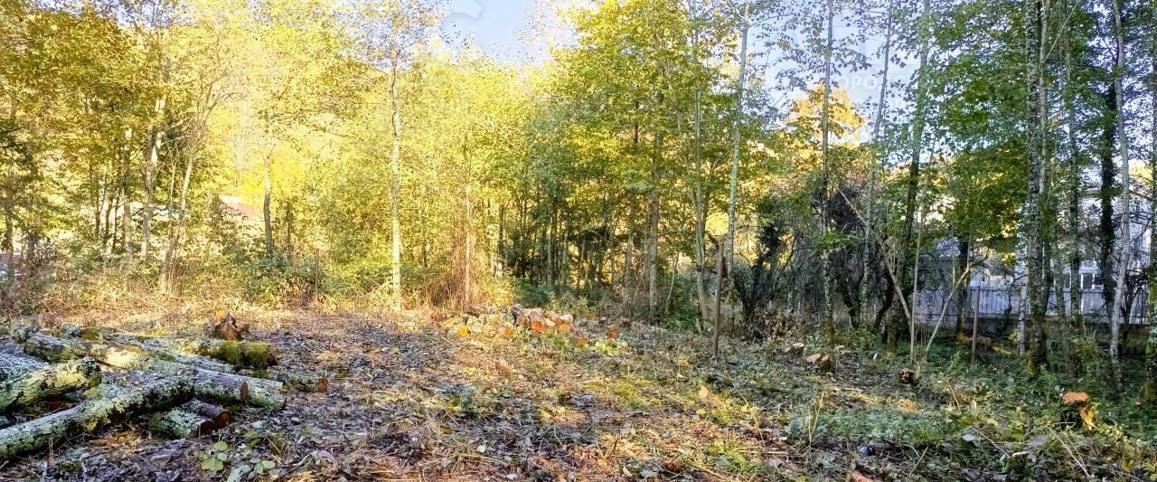 земля г Сочи ул Барановское шоссе Дагомыс пгт фото 5