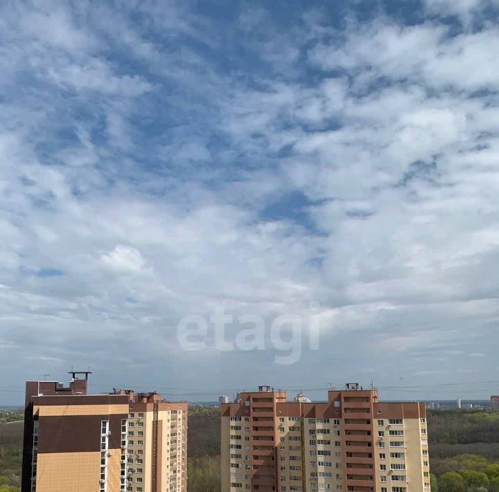 квартира г Воронеж р-н Коминтерновский пер Здоровья 90г/1к 1 фото 29
