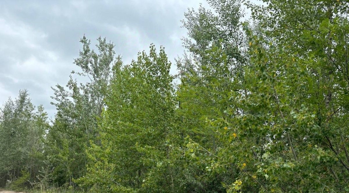 офис г Кинель пгт Алексеевка фото 9