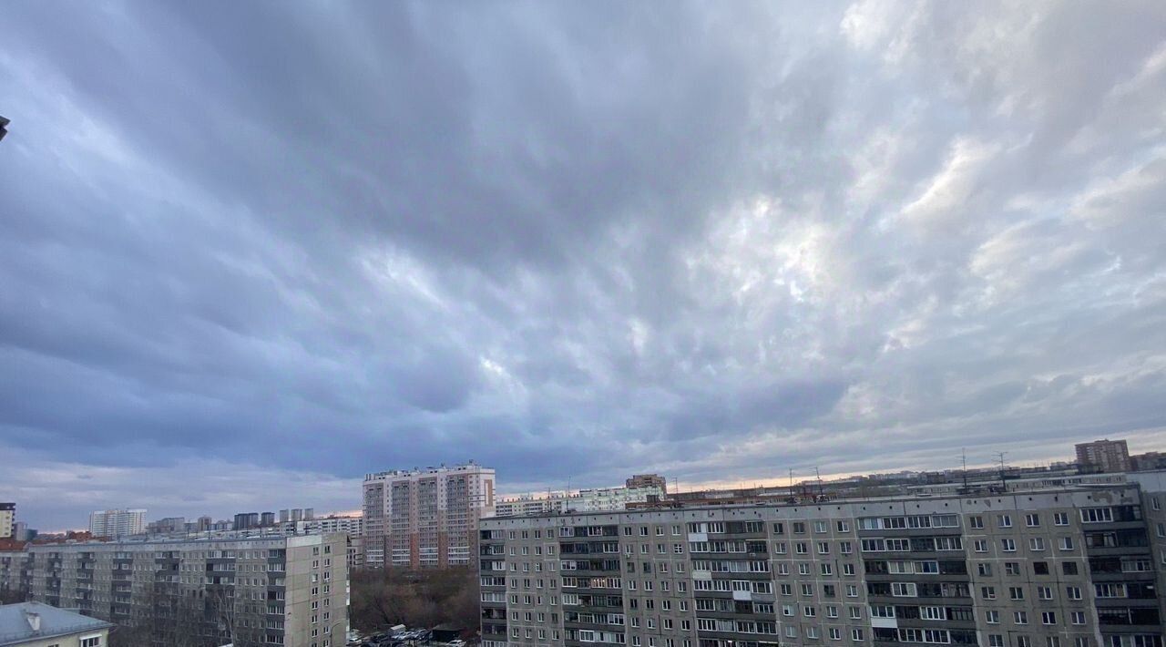 квартира г Новосибирск р-н Дзержинский ул Авиастроителей 11/1 фото 24