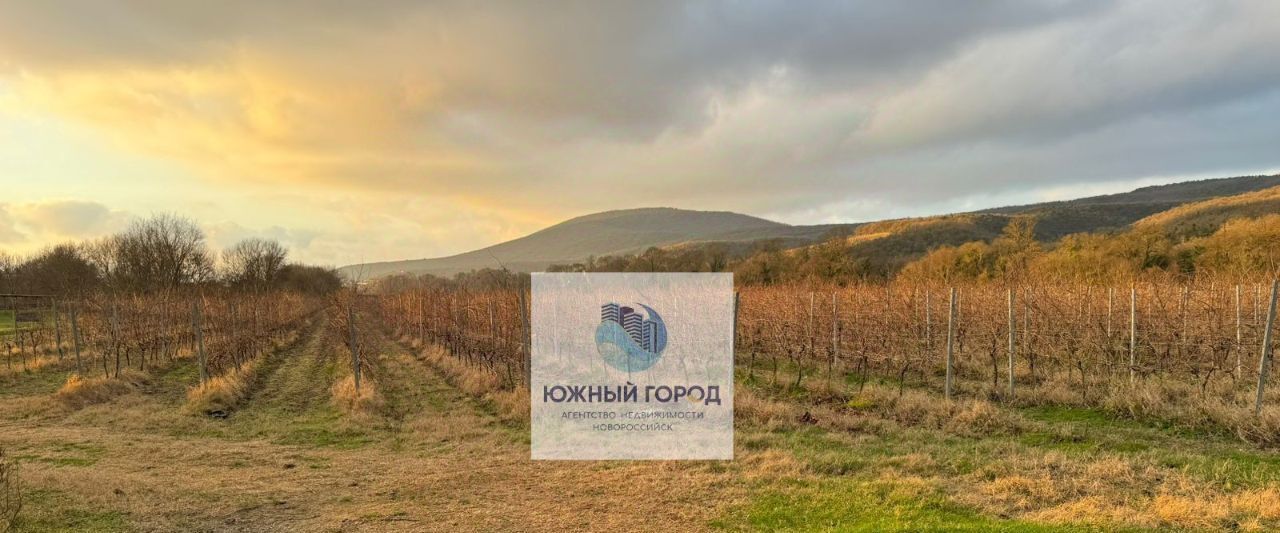 земля г Новороссийск с Северная Озереевка ул Виноградная 71 фото 1
