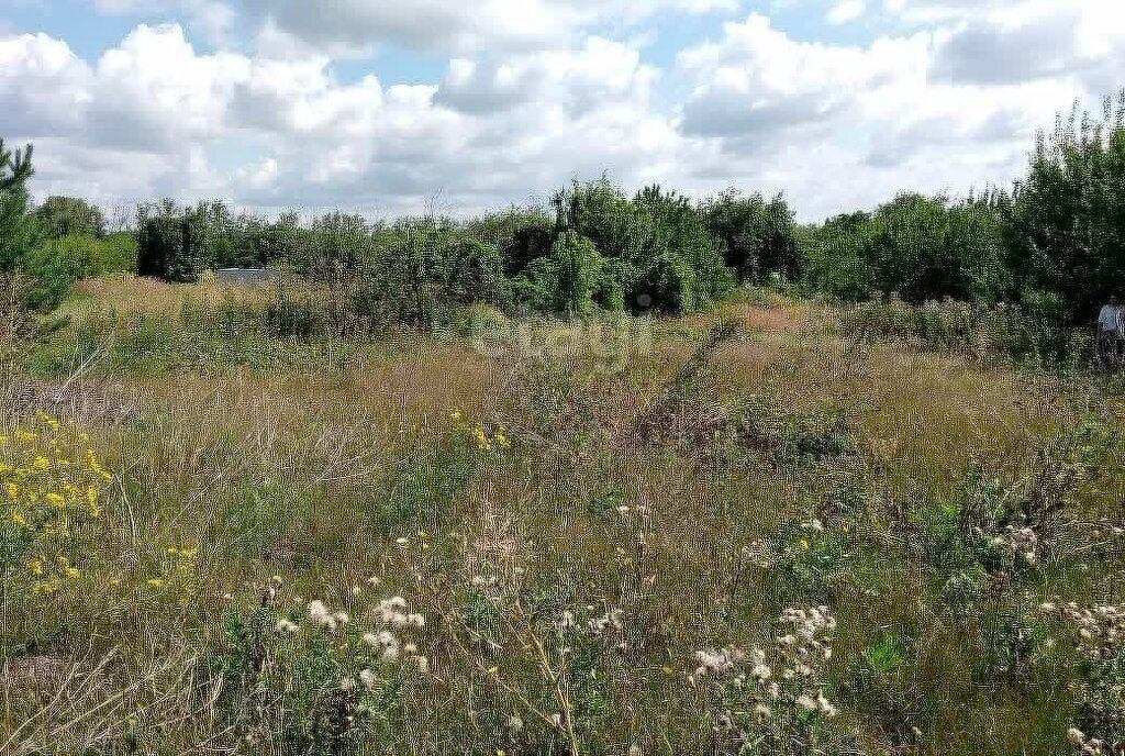 земля г Воронеж ул Великого Октября фото 1