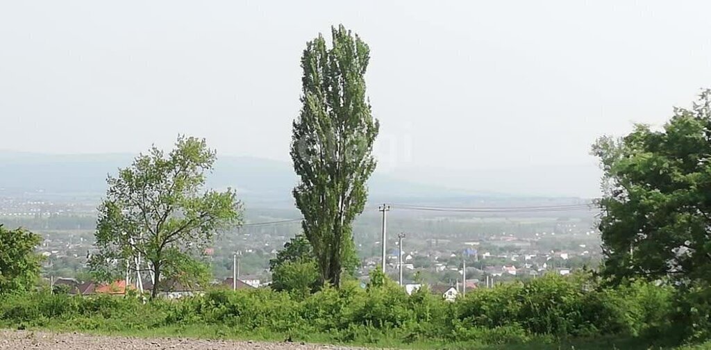 земля г Новороссийск ст-ца Натухаевская фото 2