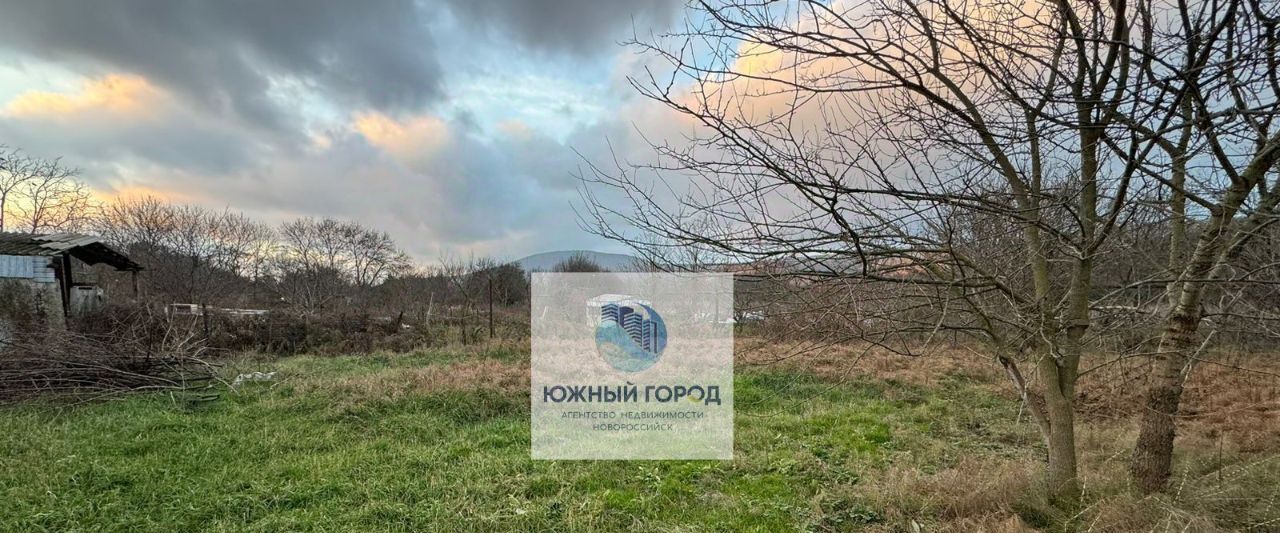 земля г Новороссийск с Северная Озереевка ул Виноградная 71 фото 7