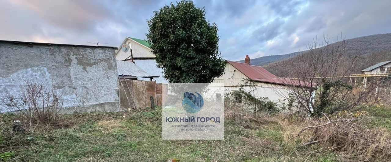 земля г Новороссийск с Северная Озереевка ул Виноградная 71 фото 11