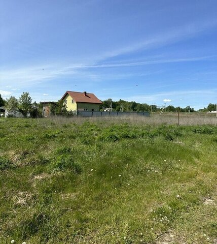 Зеленоградский муниципальный округ фото