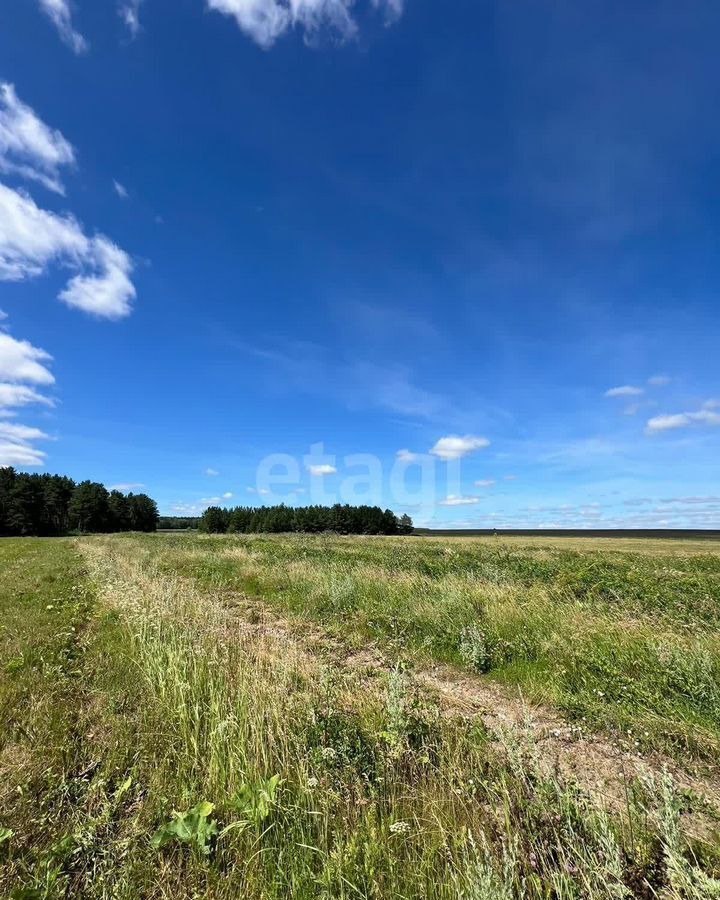 земля р-н Режевской г Реж фото 9