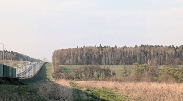 с пос, Воробьево фото