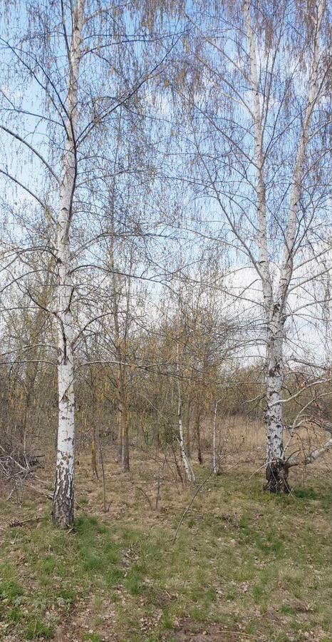 земля г Воронеж р-н Левобережный Семилукские Выселки фото 1