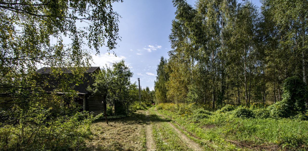 земля г Дзержинск снт Ивушка 47, Богородский муниципальный округ фото 15