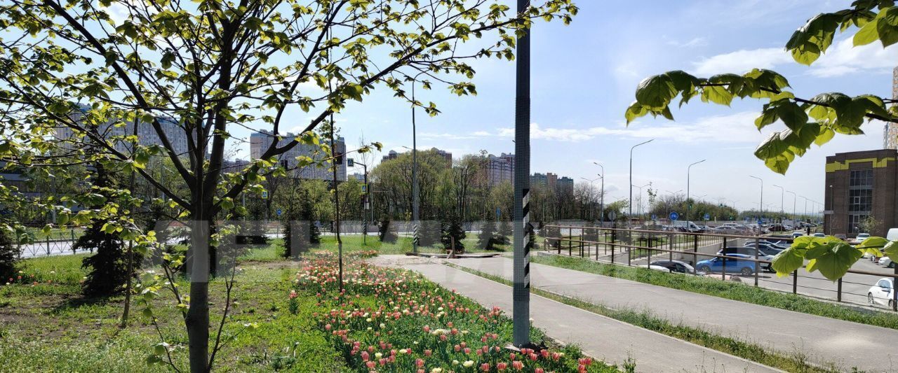 квартира г Ростов-на-Дону р-н Советский ул Еременко 98 фото 15