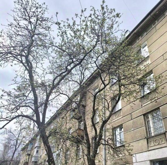 квартира г Рязань р-н Железнодорожный ул Дзержинского 12а фото 15