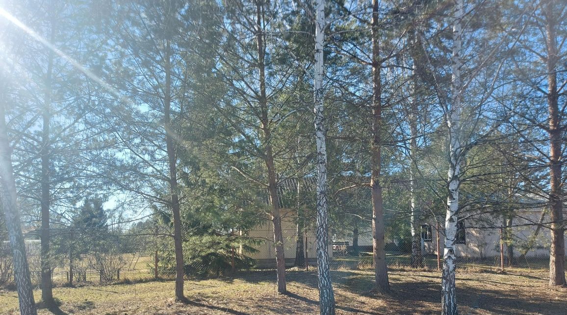 земля городской округ Лотошино п Торфяной 38 фото 1