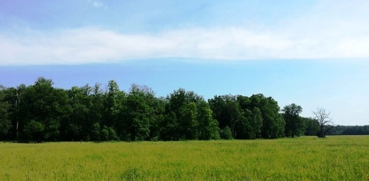 земля городской округ Чехов д Гавриково фото 6
