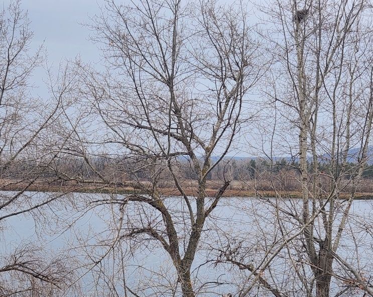 дом г Самара п Управленческий посёлок Коптев Овраг р-н Красноглинский 10 фото 5