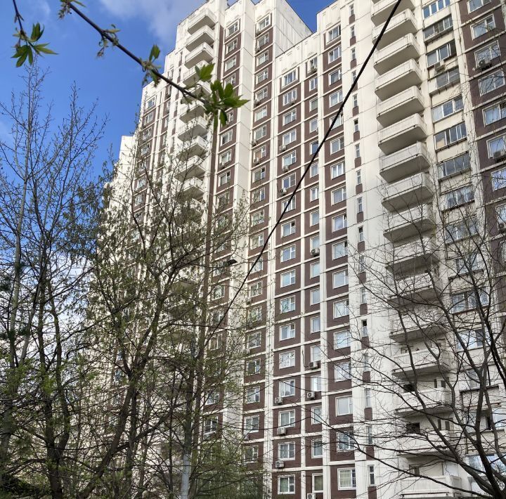 квартира г Москва метро Братиславская ул Верхние Поля 22к/1 фото 1