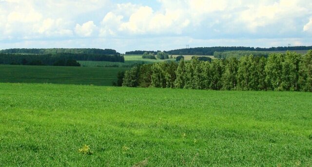 х Всадник Новоселицкое фото