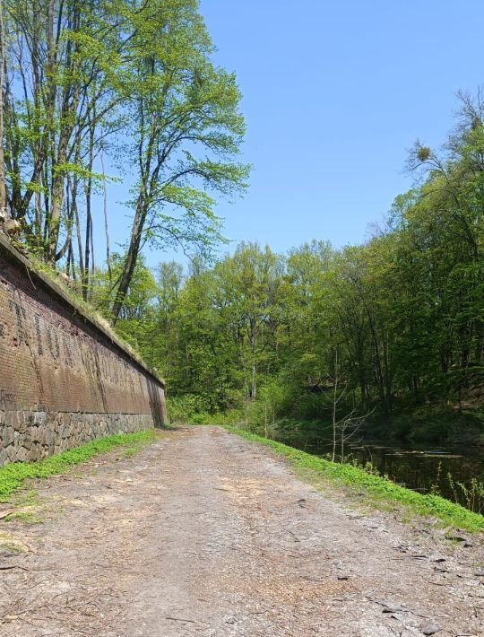 квартира г Калининград р-н Ленинградский ул Ю.Гагарина фото 13
