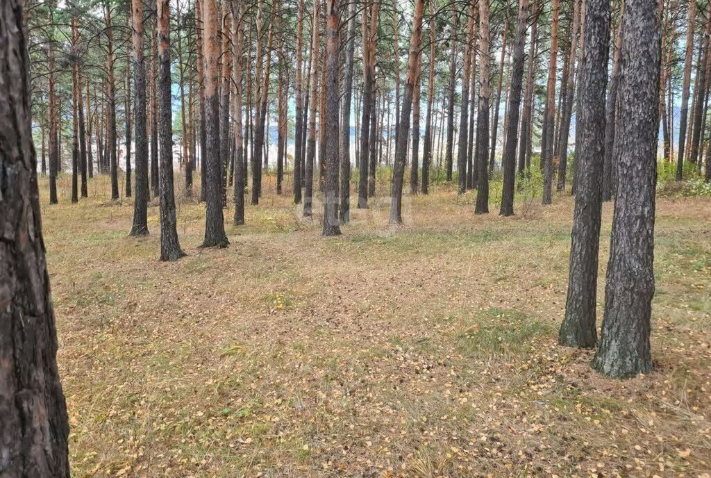 земля г Миасс п Тургояк фото 4