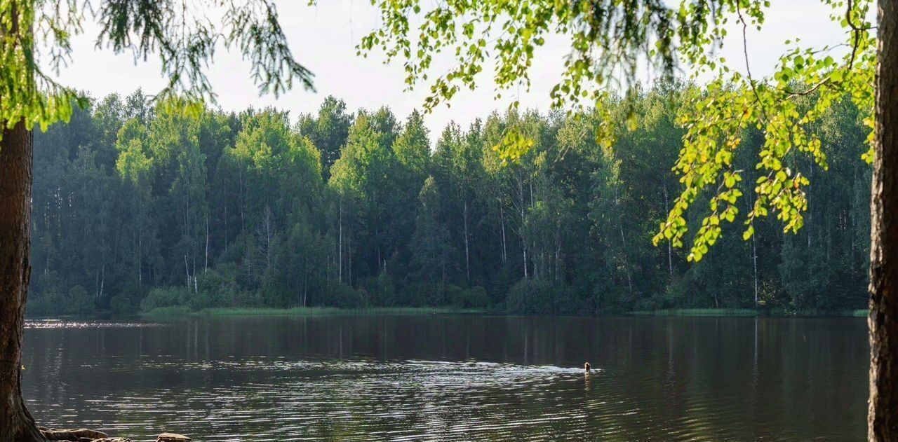 дом г Санкт-Петербург п Левашово р-н Выборгский 7 фото 20