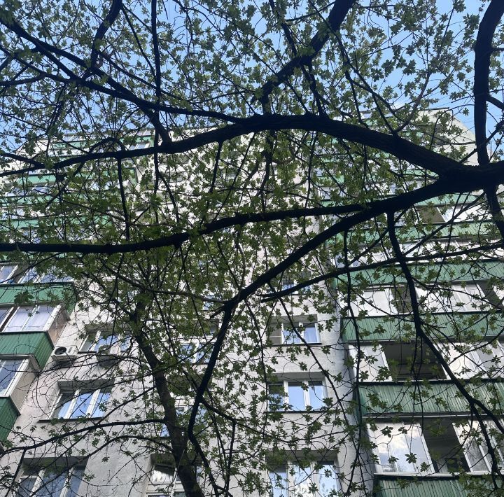 квартира г Москва метро Кунцевская ул Красных Зорь 59 фото 13
