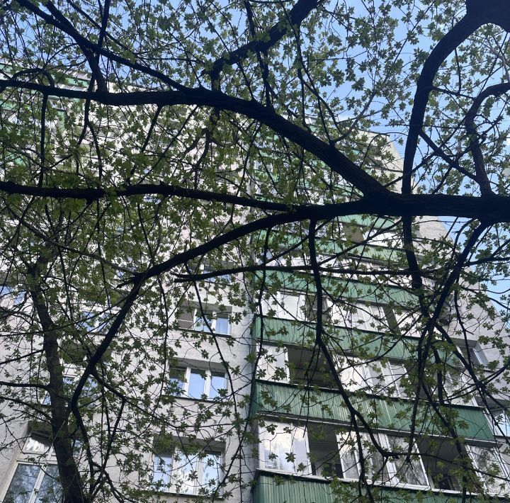 квартира г Москва метро Кунцевская ул Красных Зорь 59 фото 14