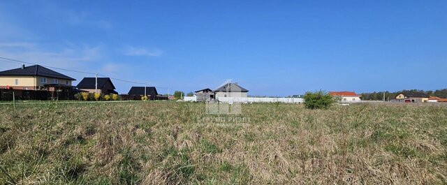Светлогорск, Зеленоградский муниципальный округ фото