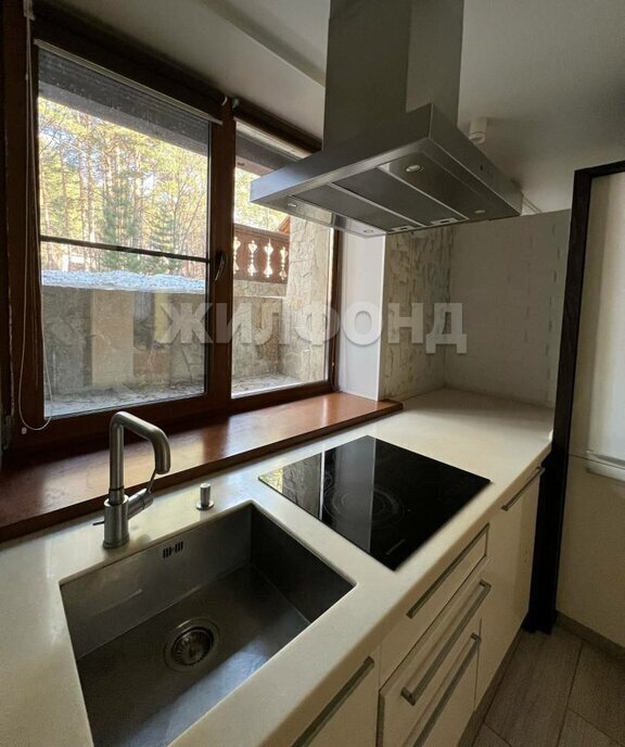 квартира г Новосибирск Заельцовская ш Дачное 2/1 фото 3