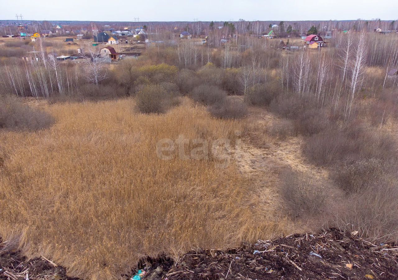 земля г Тюмень р-н Центральный снт Поле чудес ул Зеленая фото 7