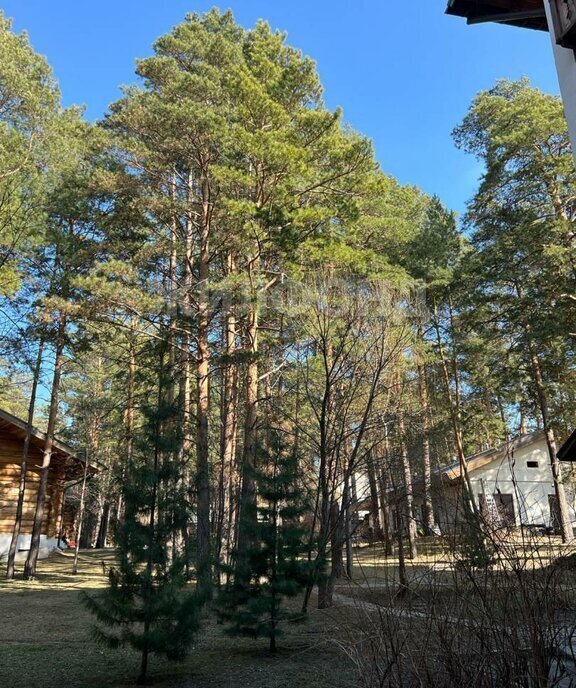 квартира г Новосибирск Заельцовская ш Дачное 2/1 фото 12