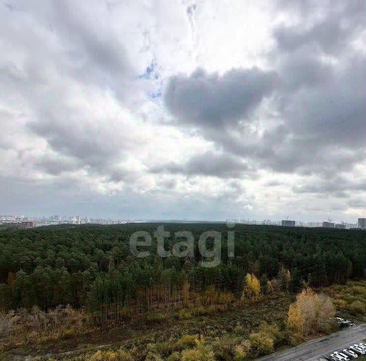 квартира г Екатеринбург Геологическая ул Соболева 19 фото 30
